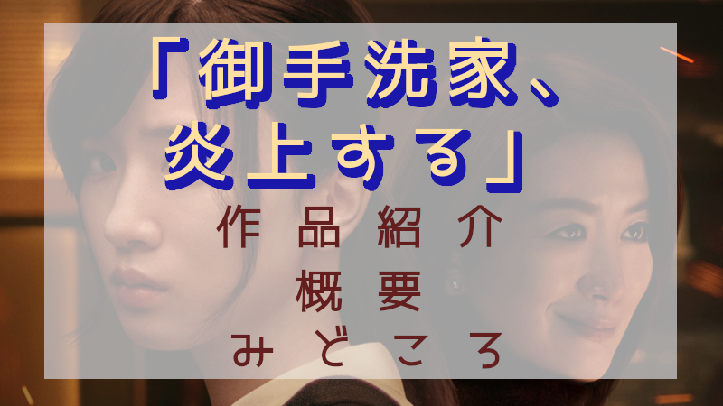 「御手洗家、炎上する」見どころ